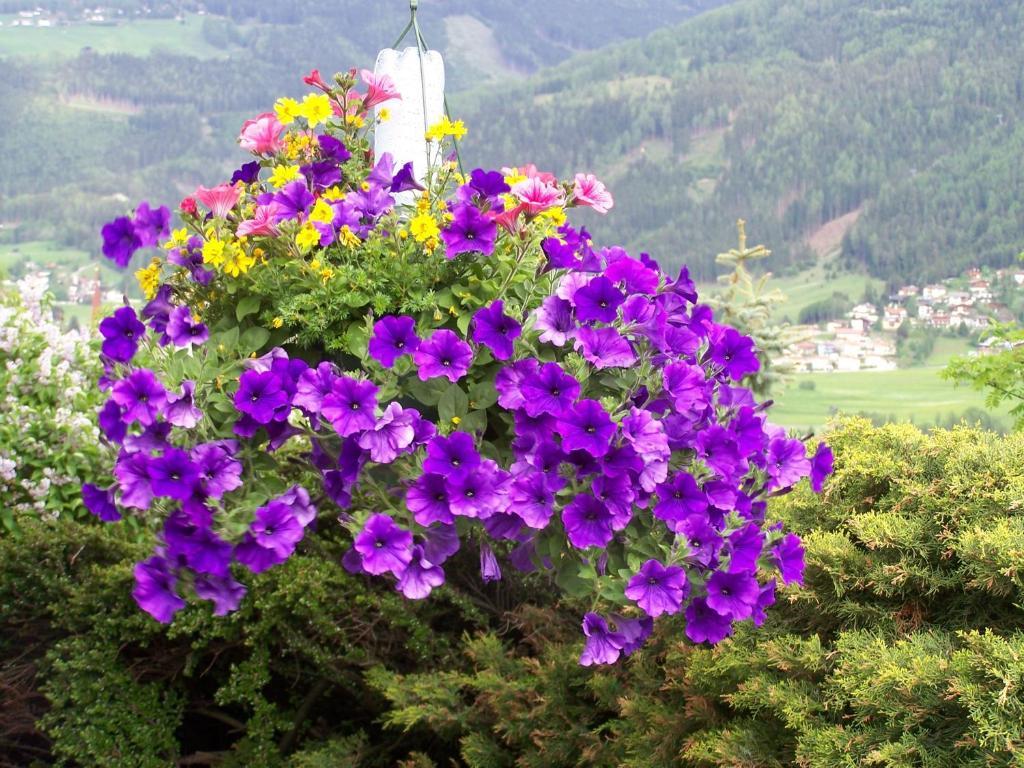 Haus Leitgeb Apartman Telfes im Stubai Kültér fotó